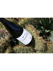 COPA SANTA  - La M&eacute;janelle (Bio)