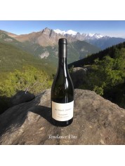 SANCERRE BLANC CUVEE LES MONTS DAMNES